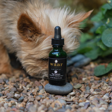 Load image into Gallery viewer, Dog Tincture