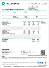 Load image into Gallery viewer, Extra Strength CBD Muscle and Joint Roll On