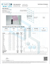 Load image into Gallery viewer, Natural Hair Regrowth Serum